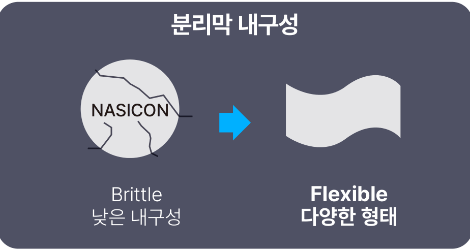 분리막 내구성 - 잘 깨지는 NASICON 에서 다양한 형태가 가능한 유연한 분리막으로