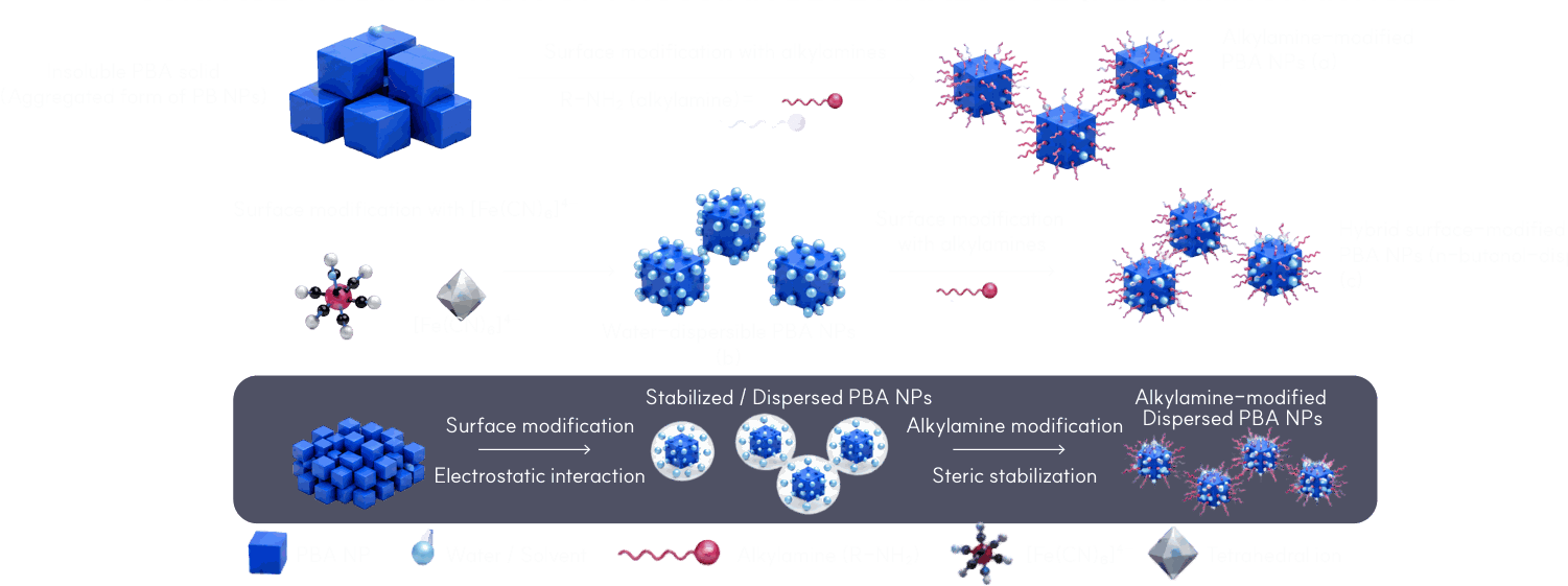 PBA 나노입자의 표면 개질 과정 - 불용성 PBA 고체에서 알킬아민 개질, [Fe(CN)6]4- 개질을 거쳐 물 분산성 PBA 와 n-부탄올 분산성 하이브리드 PBA 로