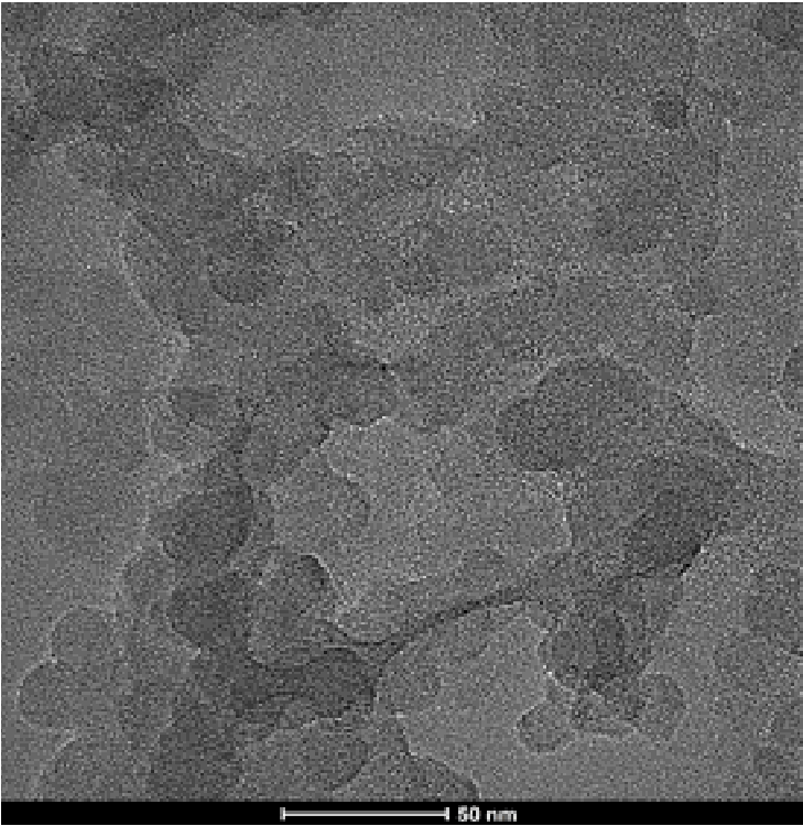 프리원 나노 실리콘 분말의 전자현미경 이미지, 스케일 바 50 nm