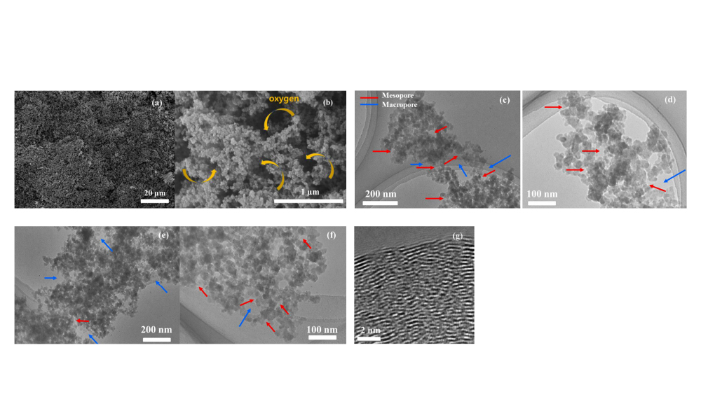 SEM / TEM analysis image